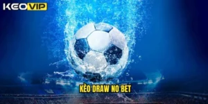 kèo draw no bet