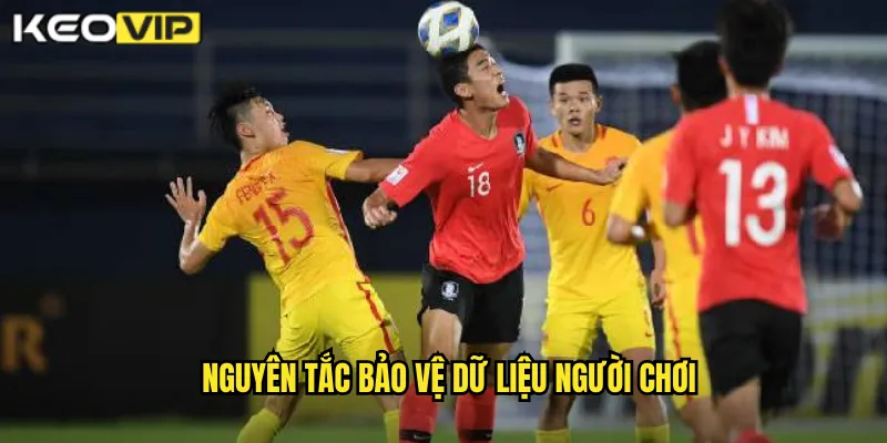 Nguyên tắc bảo vệ dữ liệu người chơi