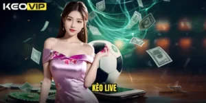 kèo live